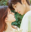Drama China Hidden Love 2023
