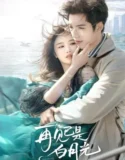 Drama China Fall in Love Again Subtitle Indonesia 2024