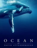 Ocean with David Attenborough (2025)