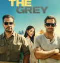 In the Grey (2026)